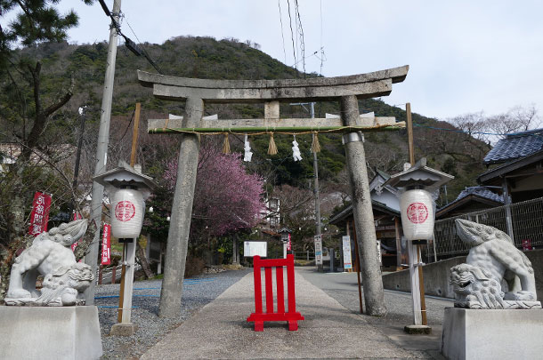 実績事例1323：神社様の装飾用オリジナル和紙風ビニール提灯　活用風景2