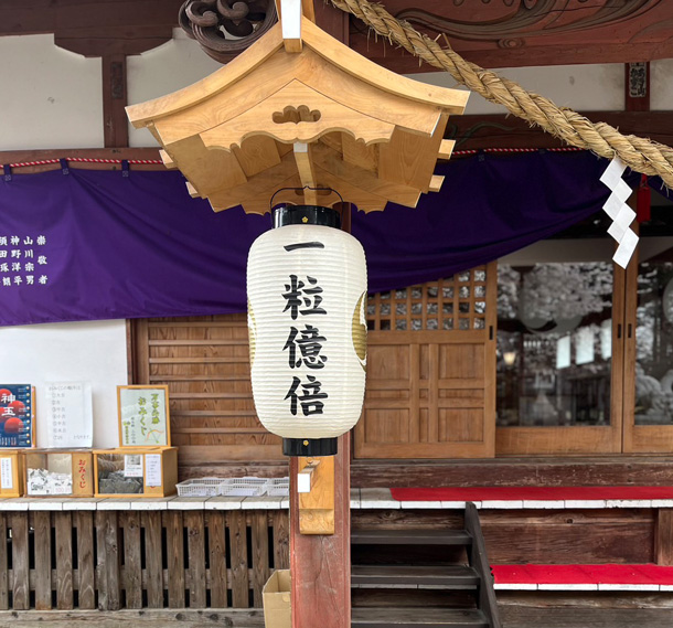  実績事例1343：神社様の装飾用オリジナル和紙風ビニール提灯　活用風景3