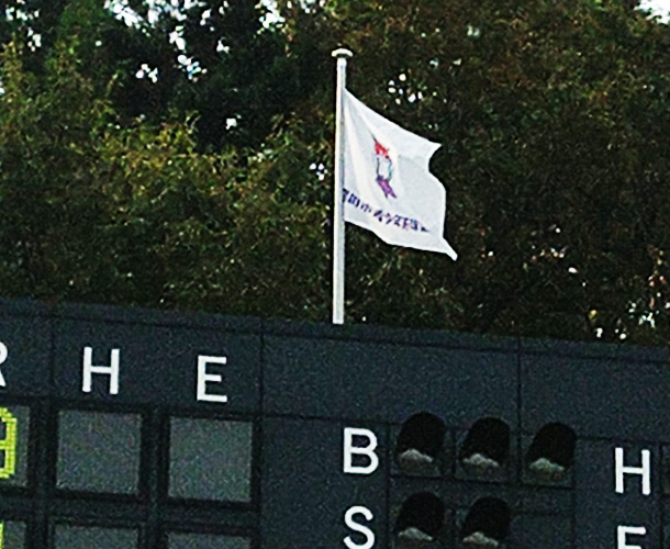 実績事例1461：青少年野球協議会様のオリジナルチーム旗　活用風景