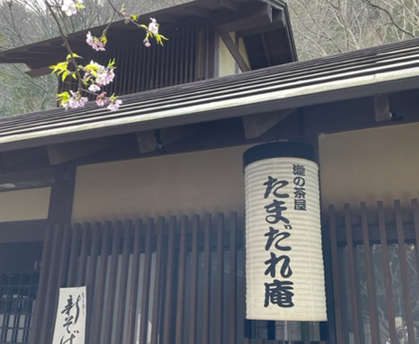 実績事例1487：温泉旅館様の店舗装飾用オリジナル和紙提灯　活用風景2