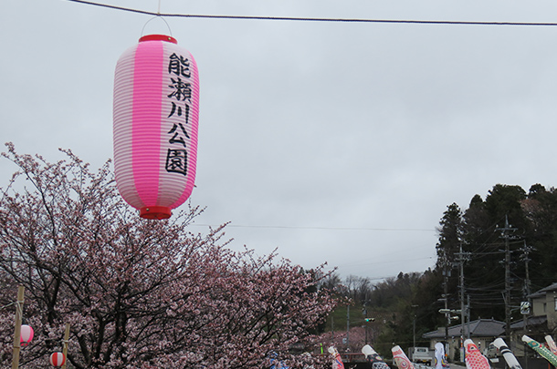 実績事例439：桜まつり用のオリジナルお祭り提灯を製作しました。