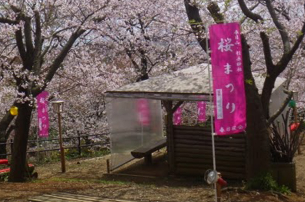 実績事例560：桜まつりのオリジナルのぼり旗　設置