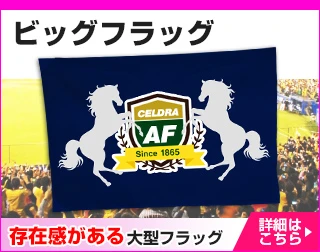 ビッグフラッグ