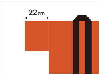 22cm