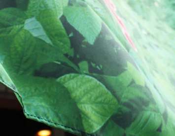 フルカラー写真プリントイメージ