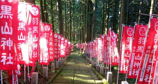 神社奉納のぼりイメージ写真