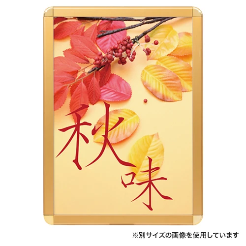 メディアグリップ(MG-44R) B0 ゴールド|56151B0G