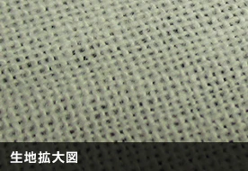 文（総理）生地拡大