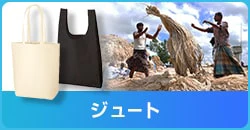 ジュート